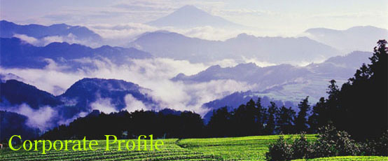 会社概要 Company Profile