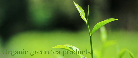Our Products