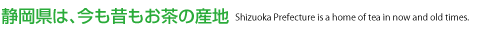 静岡県は、今も昔もお茶の産地　Shizuoka Pregecture is a home of tea in now and old times.